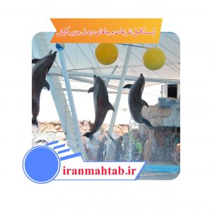 لیست کامل تفریحات و جاهای دیدنی جزیره کیش